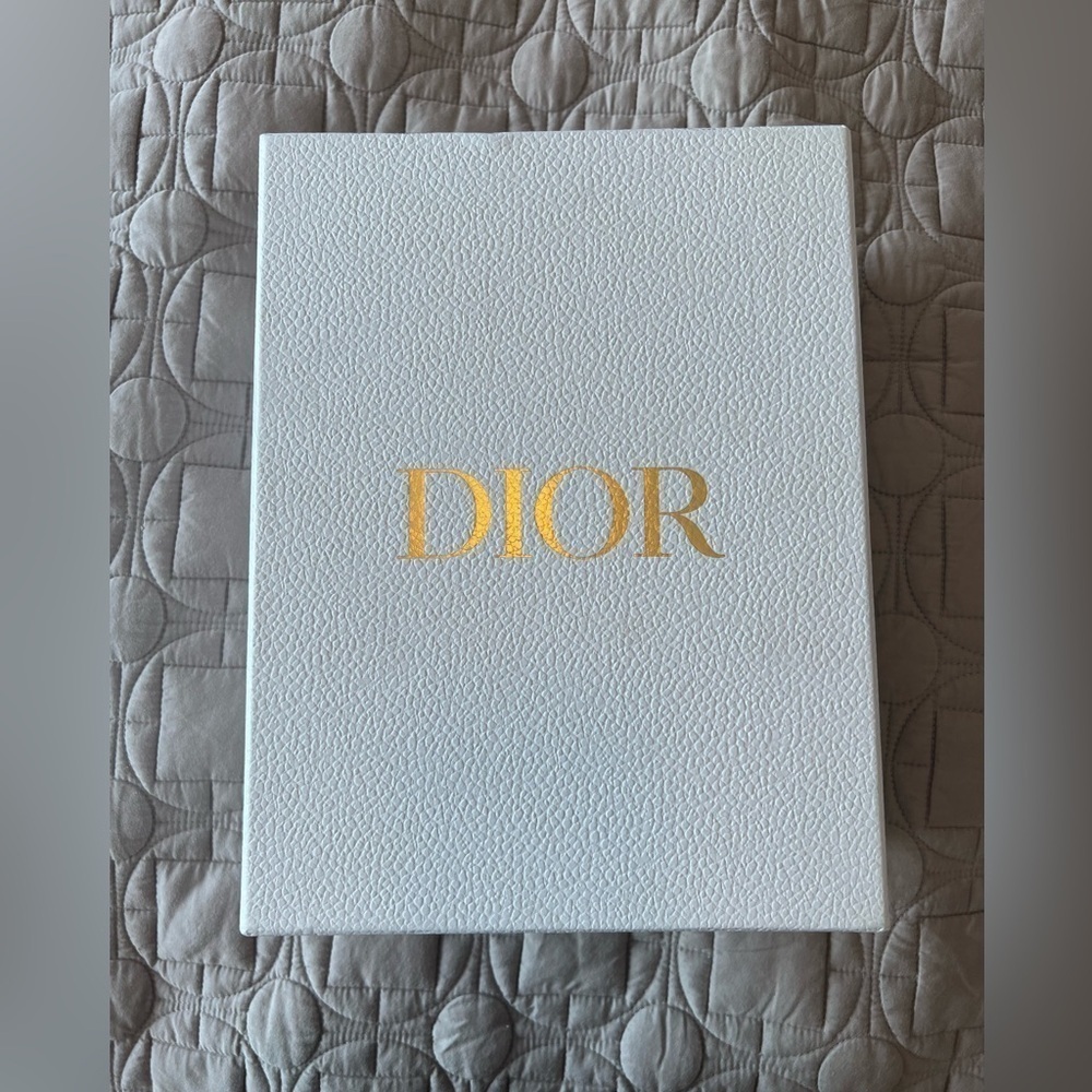 Dior Shoe Box